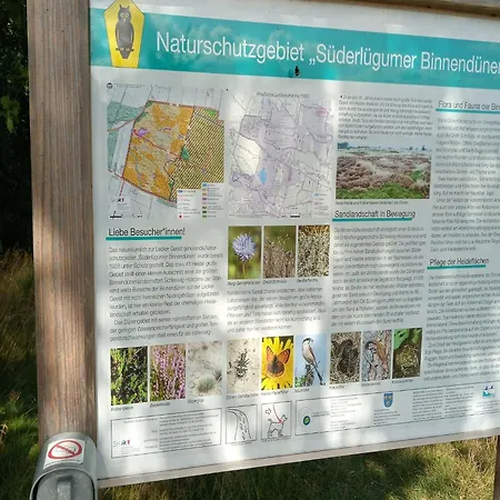 In Nahe Neukirchen (Nordfriesland)