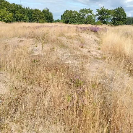 In Nahe Holiday home